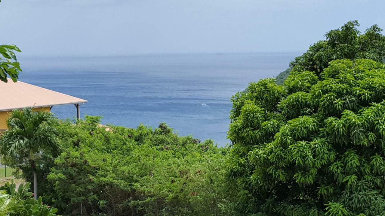 レザンセス・ダルレットLa Yole Des Caraibesアパートメント エクステリア 写真