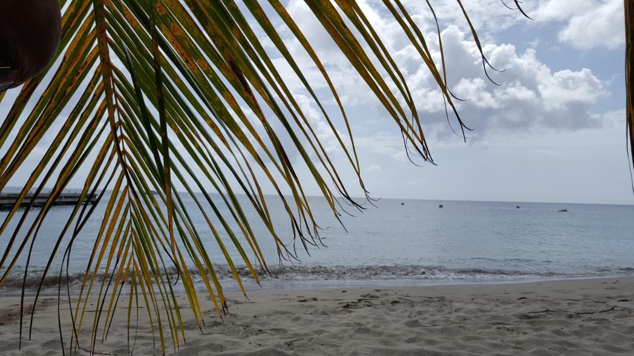 レザンセス・ダルレットLa Yole Des Caraibesアパートメント エクステリア 写真
